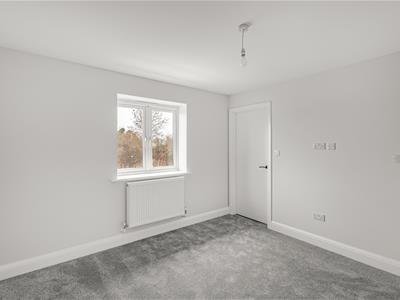 Picture 38